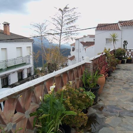 Apartamentos Rurales Jardines Del Visir Хенальгвасиль Экстерьер фото
