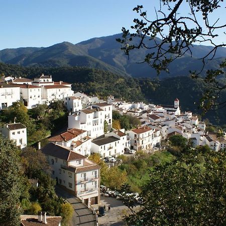 Apartamentos Rurales Jardines Del Visir Хенальгвасиль Экстерьер фото
