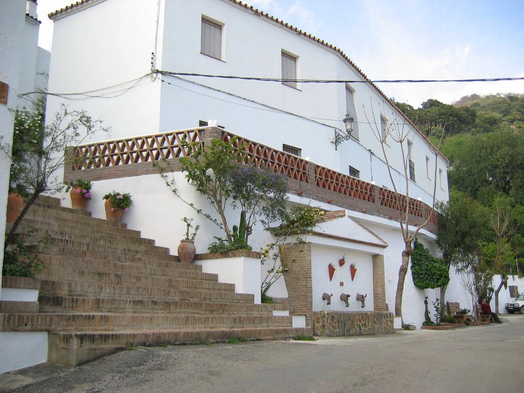 Apartamentos Rurales Jardines Del Visir Хенальгвасиль Номер фото