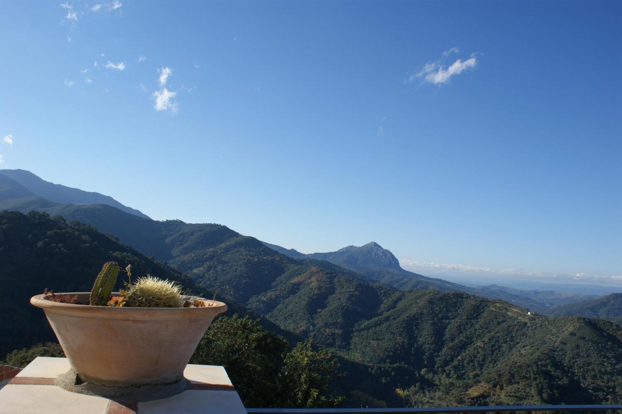 Apartamentos Rurales Jardines Del Visir Хенальгвасиль Экстерьер фото
