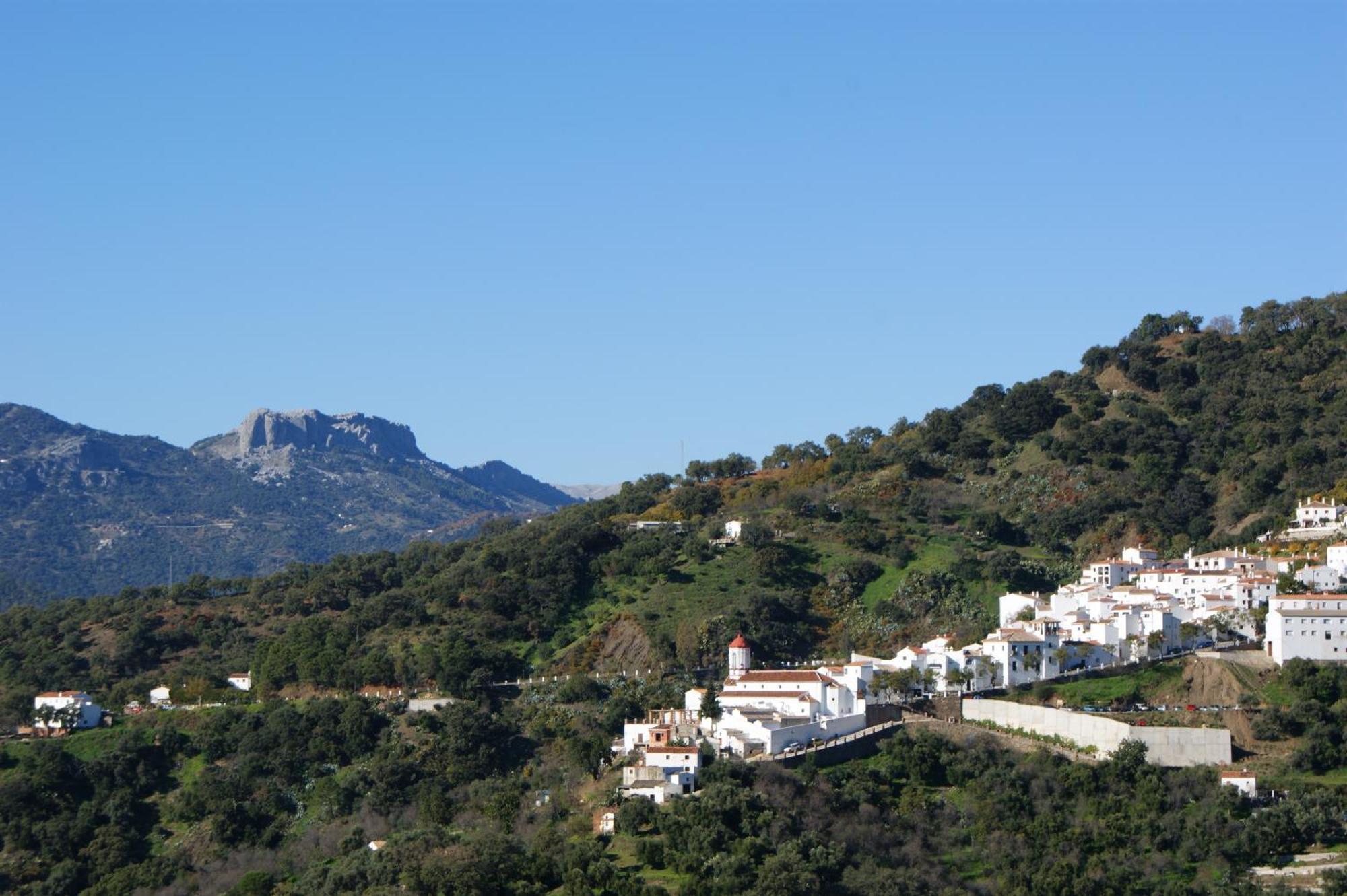 Apartamentos Rurales Jardines Del Visir Хенальгвасиль Экстерьер фото