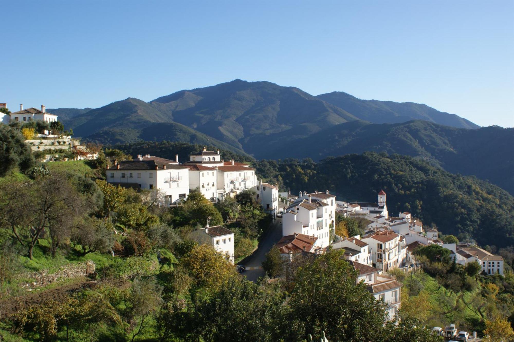 Apartamentos Rurales Jardines Del Visir Хенальгвасиль Экстерьер фото