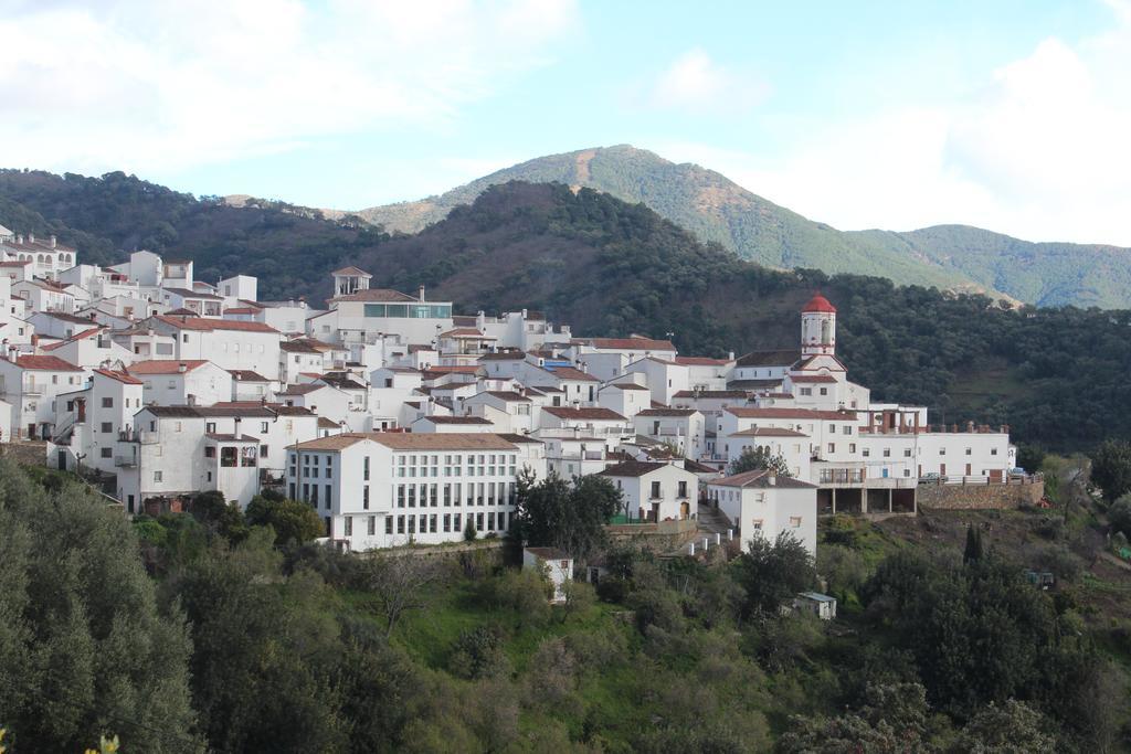Apartamentos Rurales Jardines Del Visir Хенальгвасиль Экстерьер фото