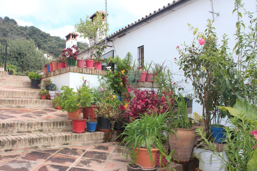 Apartamentos Rurales Jardines Del Visir Хенальгвасиль Экстерьер фото