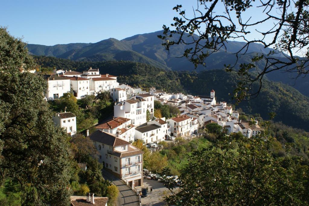 Apartamentos Rurales Jardines Del Visir Хенальгвасиль Экстерьер фото